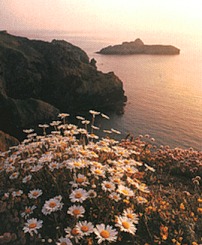 A beautiful view at dusk from the coastal footpath